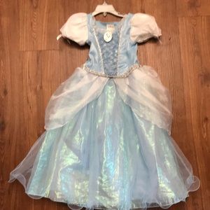 Cinderella Disney Store Costume